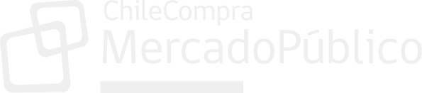 mercado-publico